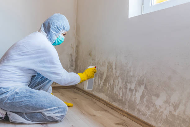 Best Crawl Space Mold Remediation  in Plainsboro Center, NJ