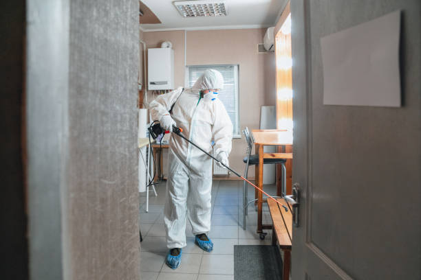 Best Post-Construction Mold Inspection  in Plainsboro Center, NJ