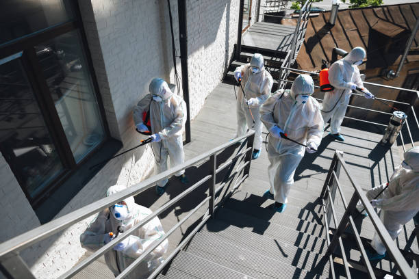 Best Dehumidification Services  in Plainsboro Center, NJ