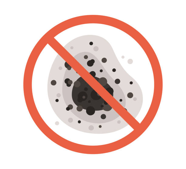 Best Mold Odor Removal Services  in Plainsboro Center, NJ