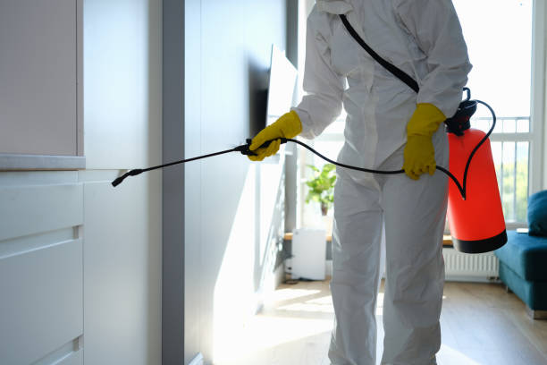 Best Mold Remediation for Rental Properties  in Plainsboro Center, NJ