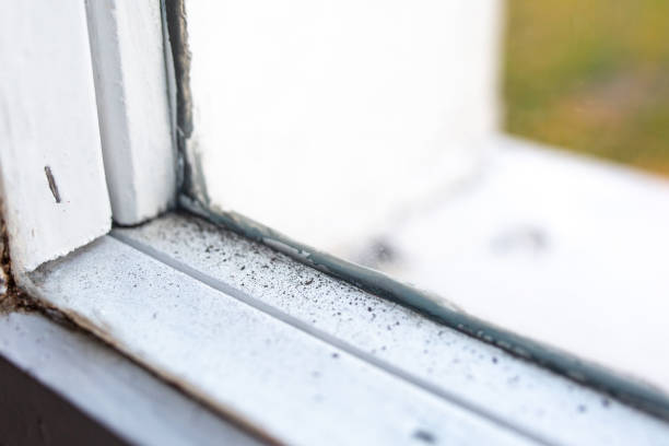 Best Real Estate Mold Inspection  in Plainsboro Center, NJ