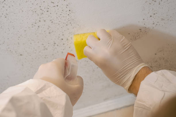 Best Industrial Mold Remediation  in Plainsboro Center, NJ