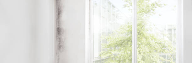 Best Mold Remediation for Healthcare Facilities  in Plainsboro Center, NJ